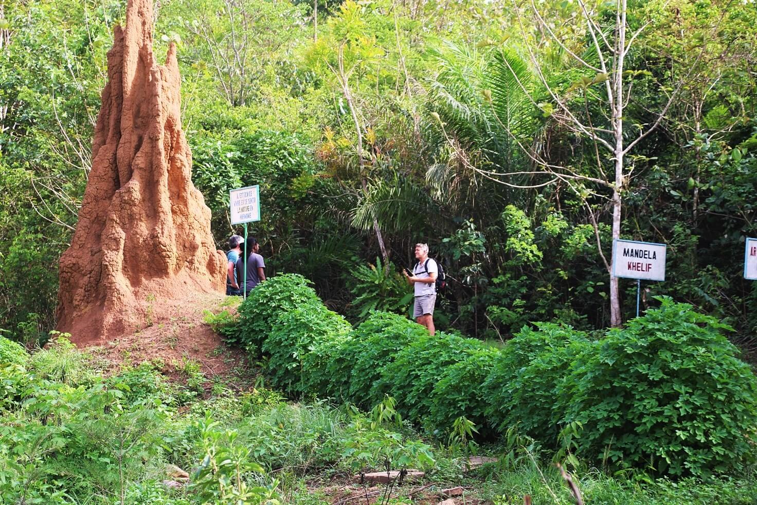 Randonné hors circuit à kpalimé