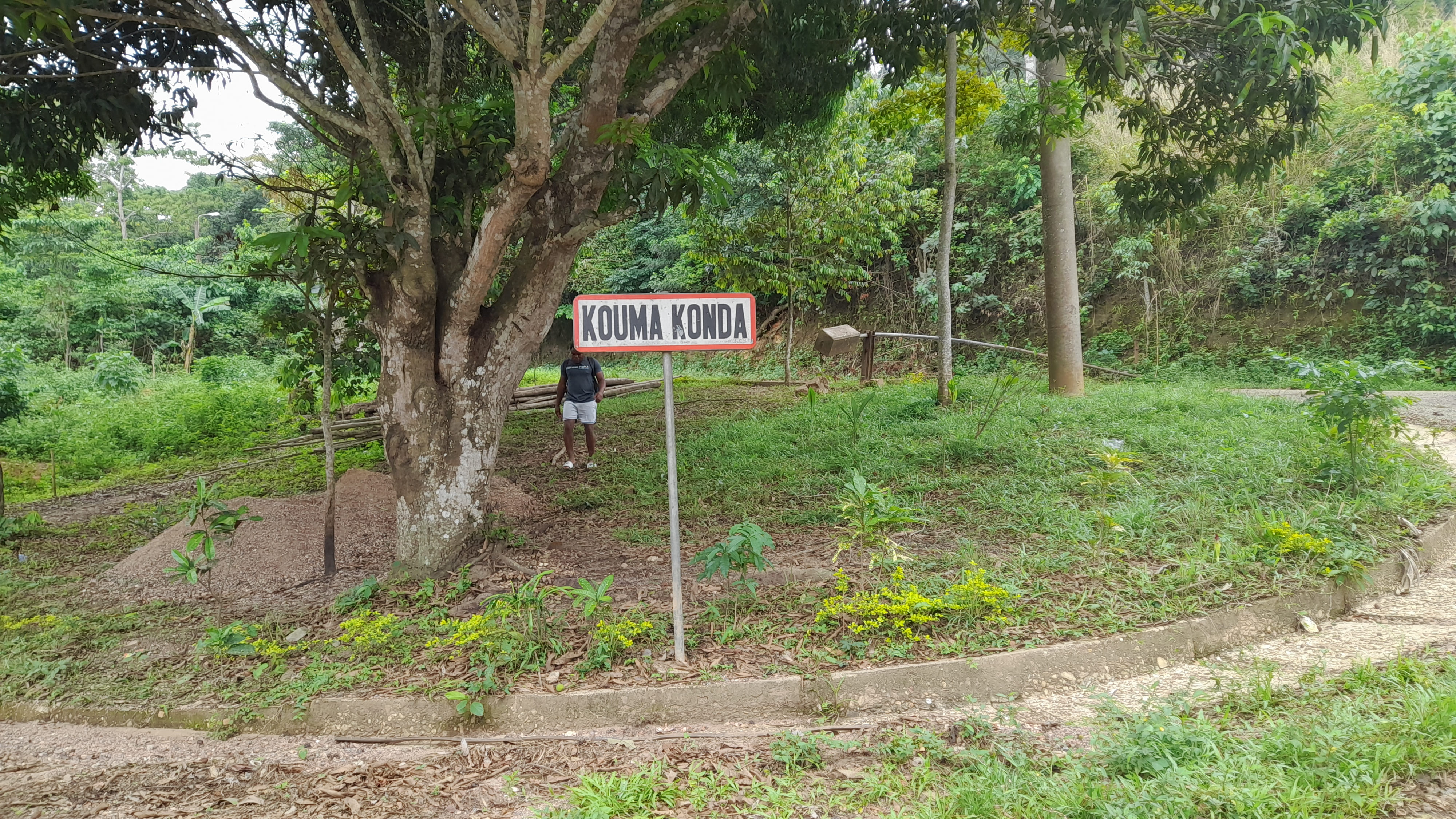 Kouma konda 