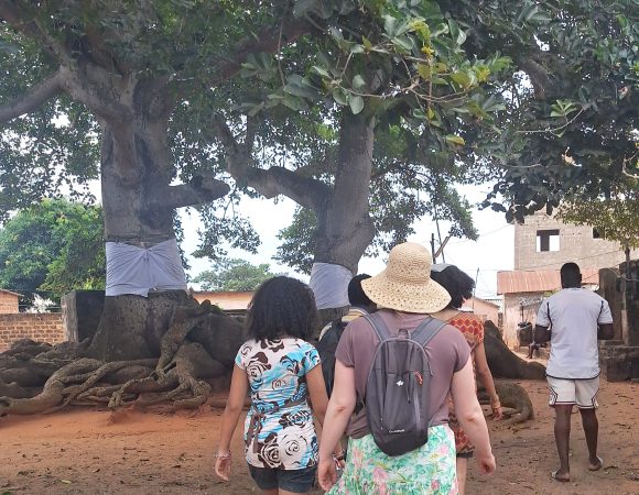 Benin-Togo Tour: 10 Days at Vodoun Festival, Jan 7–16