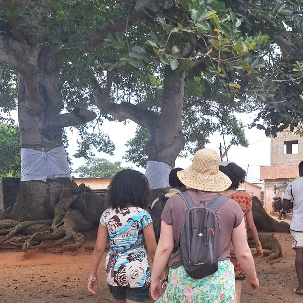 Benin-Togo Tour: 10 Days at Vodoun Festival, Jan 7–16