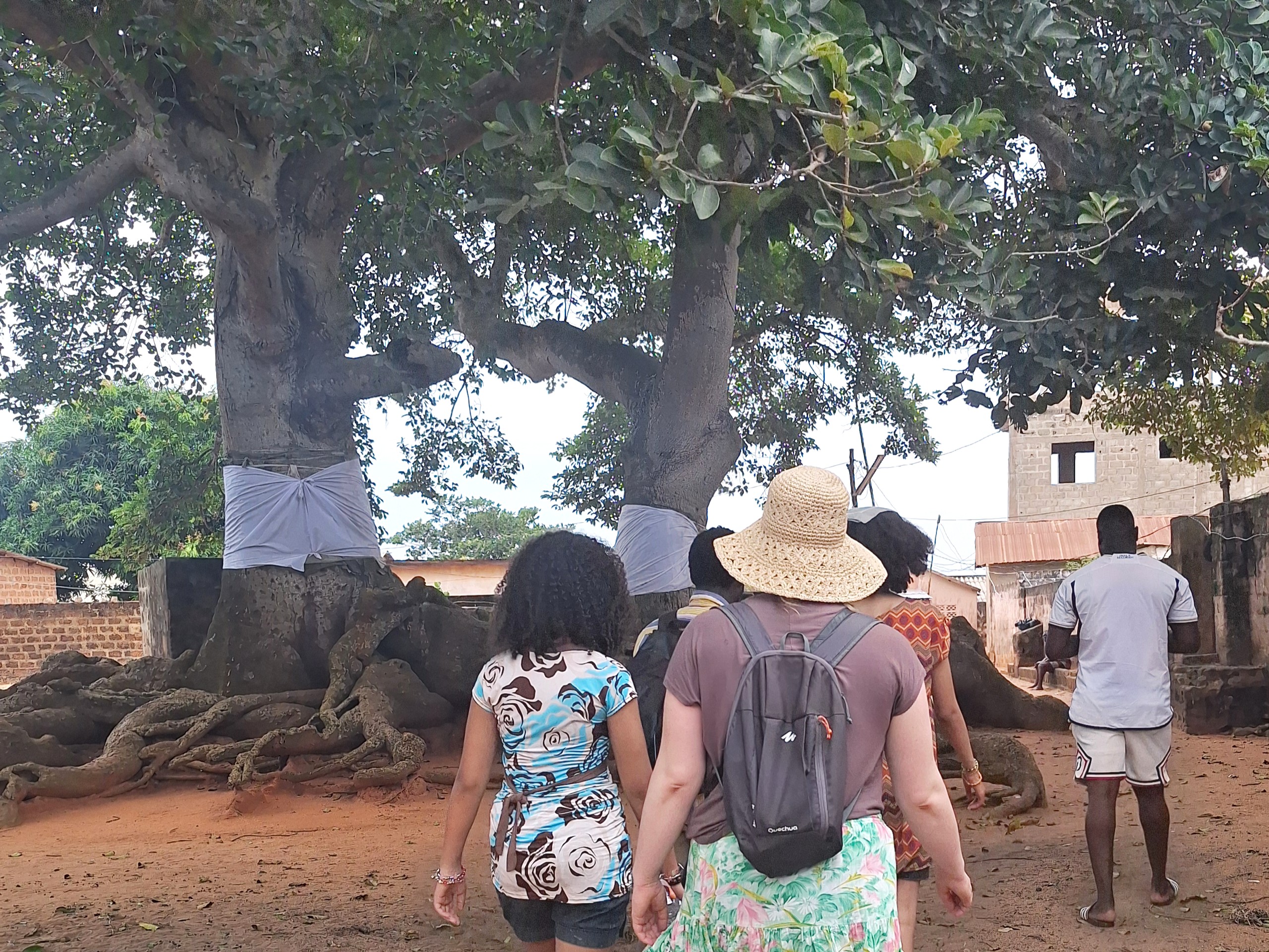 Benin-Togo Tour: 10 Days at Vodoun Festival, Jan 7–16