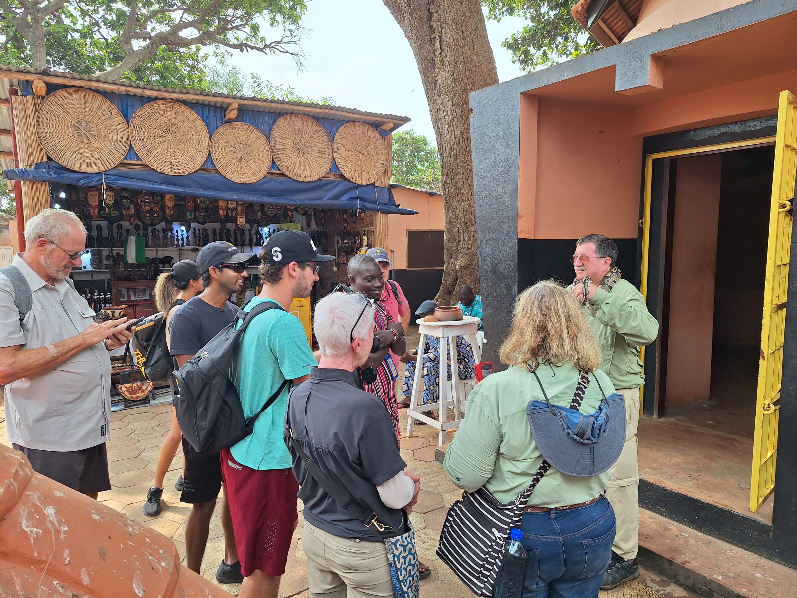 Shore excursion: Sightseeing & city tours